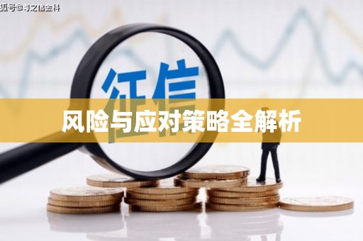 永川风险与应对策略全解析